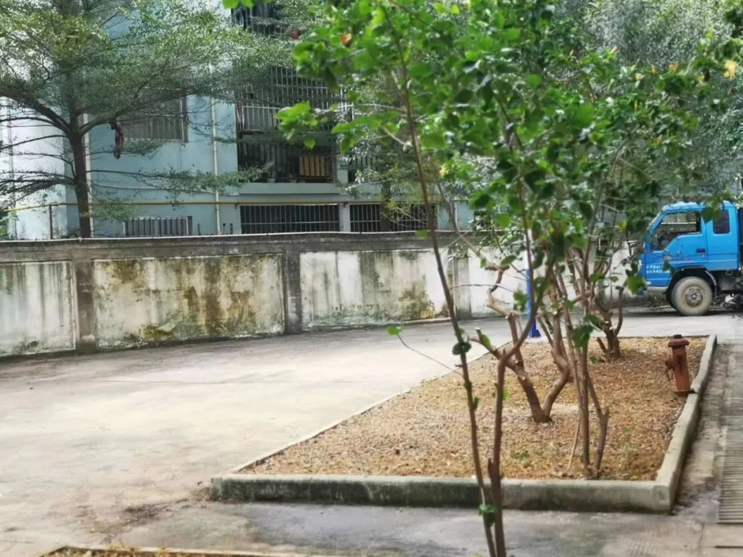 IMG_9451(20221212-005404).JPG 圖片