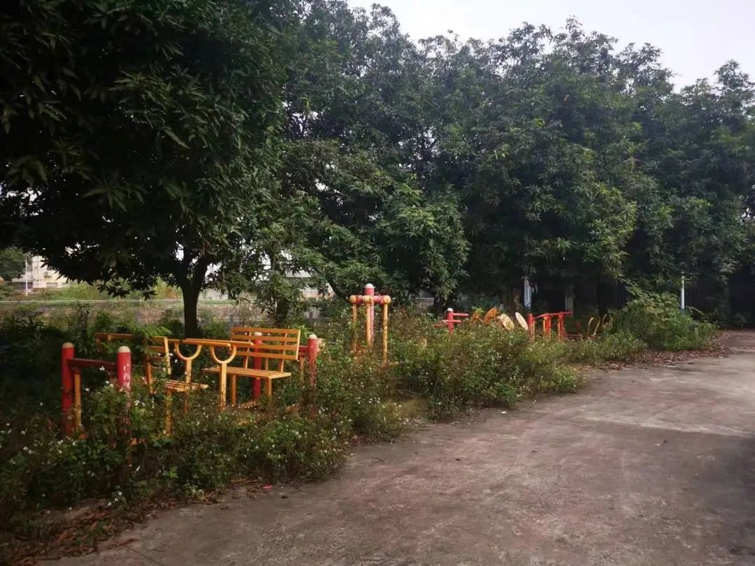 IMG_9363(20221212-005404).JPG 圖片