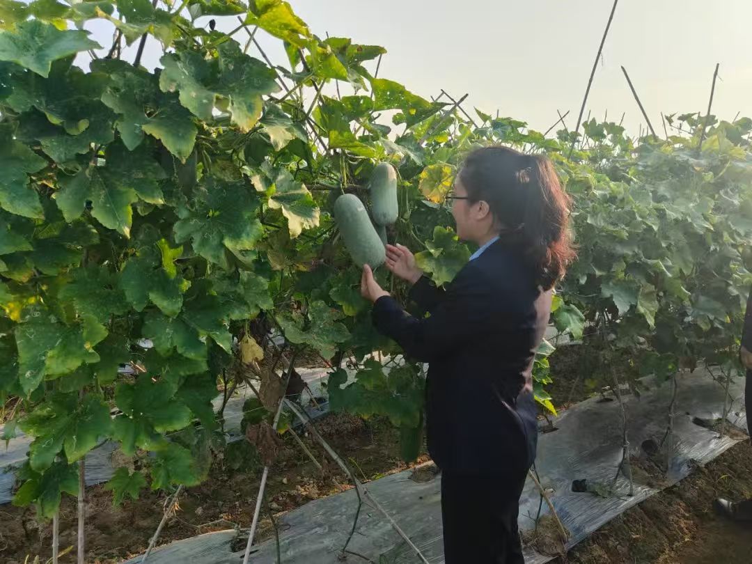 bc26f1bfa58db1e851773d1210b3084 bc26f1bfa58db1e851773d1210b3084