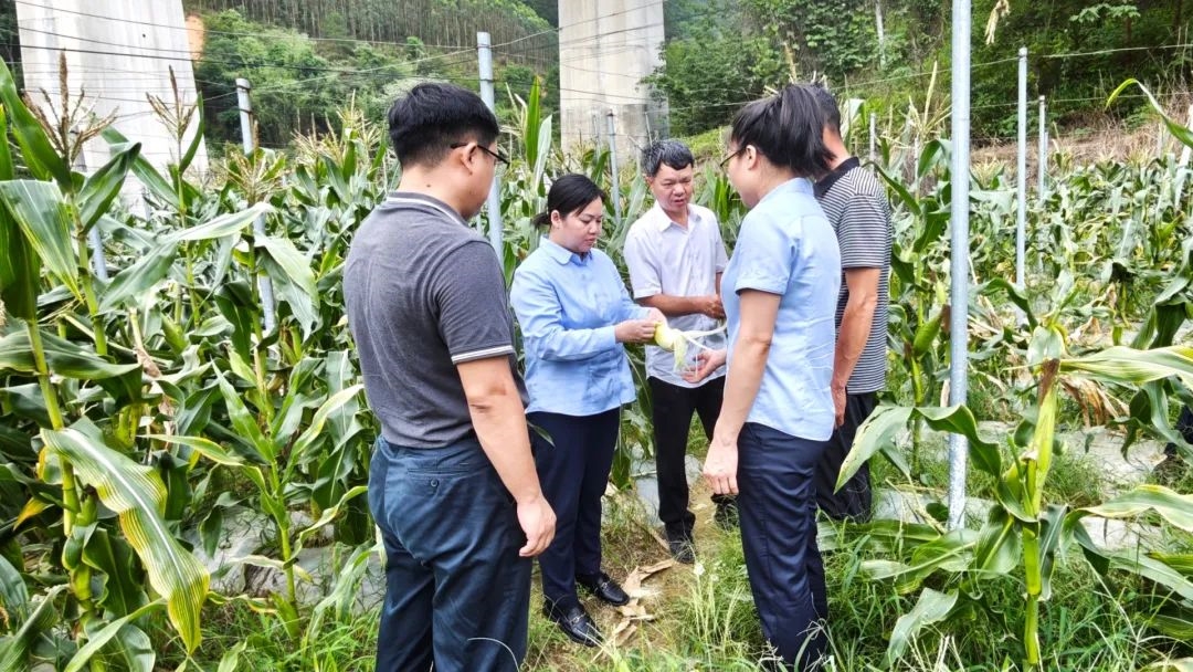 微信圖片_20250617174243