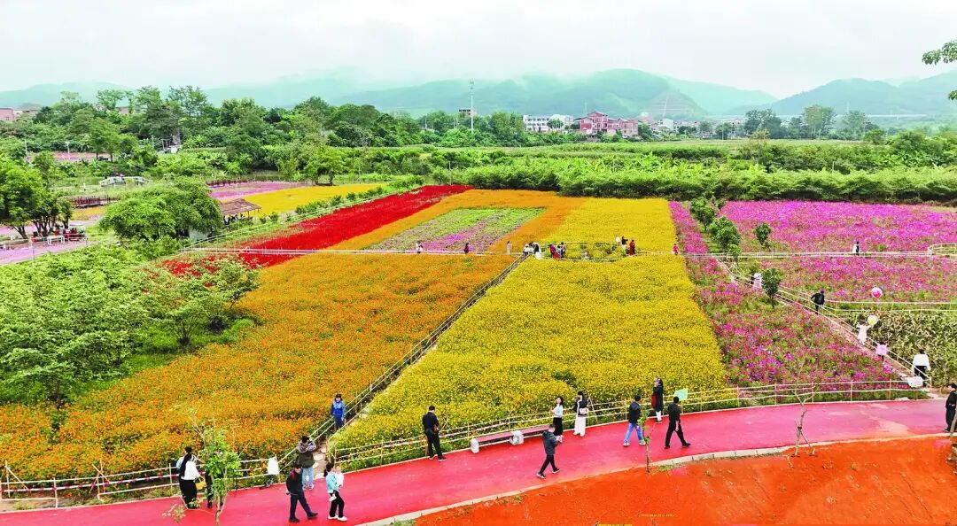 右江日?qǐng)?bào)-2